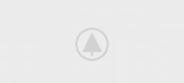 wood-gallery-placeholder wood-gallery-placeholder