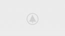 wood-gallery-placeholder-4 wood-gallery-placeholder-4