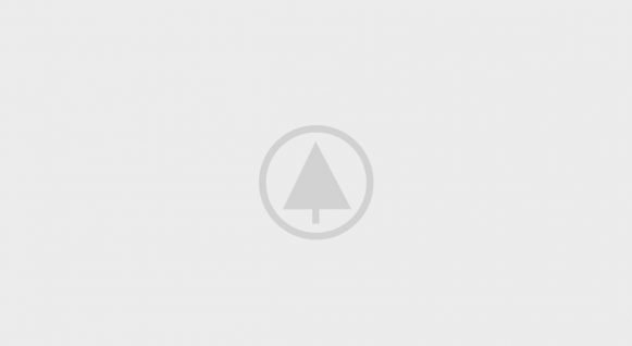 wood-portfolio-placeholder wood-portfolio-placeholder